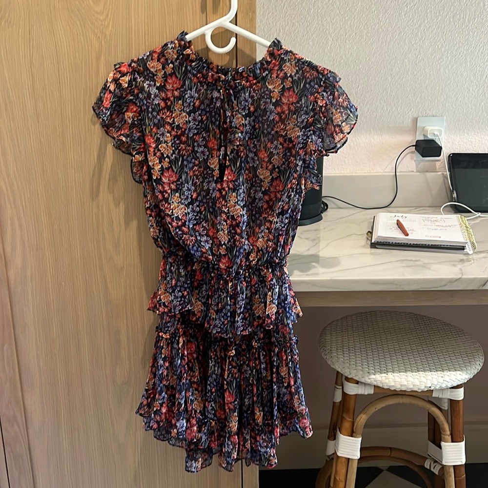 Misa Los Angeles dress